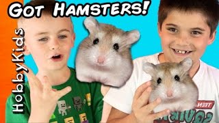 HobbyKids Buy Hamsters Petco Toy Shopping Haul HobbyKidsTV [upl. by Moise727]