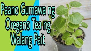 Paano gumawa ng oregano tea na walang pait how to create oregano tea [upl. by Kalagher]