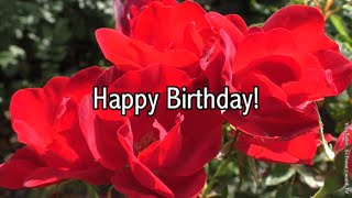 🌹 Alles Gute zum Geburtstag 💖🍀🌞 Happy Birthday 🌹 WhatsApp Grußvideo kostenlos zum Verschicken [upl. by Mateo]