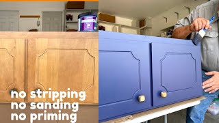 Make An Impossible Refinish Project Easy with AllInOne BEYOND PAINT [upl. by Nnairret762]