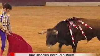 Polémica por la prohibición de los toros en Cataluña [upl. by Murielle]