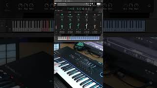 Best Service The Score by Sonuscore  Orchestral Kontakt Library [upl. by Enilasor604]