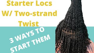 How To TwoStrand Twist Locs Using 3 Different Methods Step by Step Tutorial  Starter Locs [upl. by Rennane]