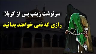 سرنوشت زینب پس از کربلابه ما دروغ گفتند [upl. by Ecirtnahc]