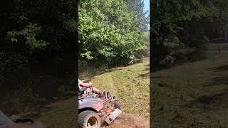 Satisfying Tall Grass Mowing with Ferris ISX 2200 cuttinggrass lawnmaintenance shorts [upl. by Hamel429]