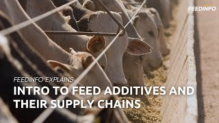 Intro to Feed Additives and Their Supply Chains  Feedinfo Explains [upl. by Dlorag972]