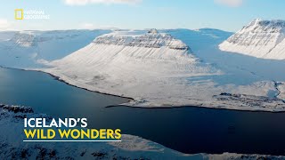 Iceland’s Hidden Beauty  Europe From Above  हिंदी  Full Episode  S3  E6  Nat Geo [upl. by Elizabet]