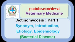 Actinomycosis Part 1 introduction etiology epidemiology [upl. by Lladnik]