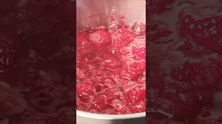 Low Sugar Raspberry Cake Filling shorts raspberryjam raspberryfilling cakefilling [upl. by Disharoon623]