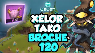 XÉLOR SYNCHRONISATEUR TAKO  BROCHE BOUFTOU 120 SUR WAVEN [upl. by Ilyah]