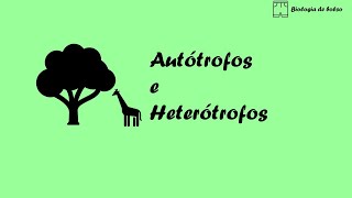 Autótrofos e Heterótrofos [upl. by Dhu]