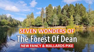 New Fancy amp Mallards Pike  Seven Wonders Of The Forest Of Dean Episode 3 [upl. by Ahsiekahs]