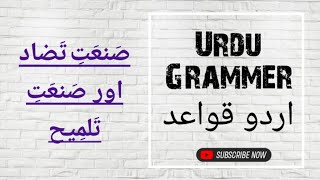 Urdu grammar Sanate tazad and sanate talmeeh صنعت تضاد اور صنعت تلمیح [upl. by Birdie]