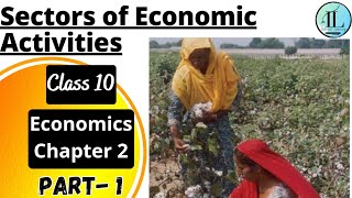 Sectors of Economic Activities  Sectors of the Indian Economy  Class 10 Economics Chapter 2 CBSE [upl. by Brantley]