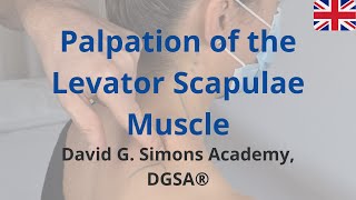 Palpation of the Levator Scapulae Muscle [upl. by Eilyah960]