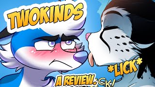 TwoKinds  A Super Fair Review [upl. by Kirred]