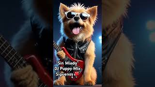 Canción “Sin Miedo” Original DJ Puppy Mix  Morning Vibes  DeepHouse  Rock amp Más … viralshorts [upl. by Remo287]