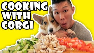 COOKING WITH CORGI DOG  Life After College Ep 520 [upl. by Jakob]