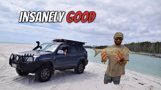 Fraser Island 4wd Paradise  Fishing and Exploring the Biggest Sand Island in the World  pt2 [upl. by Anierdna]