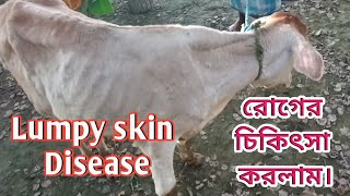 Lumpy skin Disease Treatment Medicinelsg lumpy skin disease [upl. by Saucy]