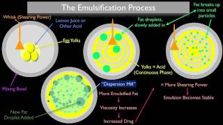 The Emulsification Process [upl. by Finkelstein129]