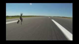 Flying Australia  Near miss at Darwin International Airport [upl. by Imyaj]