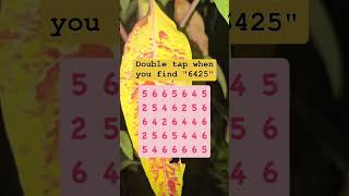 Observation Visual Test 5 Seconds For You To Spot 6425 Try Your Skills search puzzle shorts [upl. by Gauntlett]