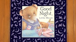 Storytime with Good Night Little Mouse by Dugald Steer [upl. by Jean]