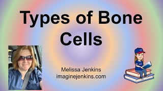 Three Types of Bone Cells [upl. by Initirb]