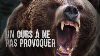 Les ours les plus meurtriers au monde [upl. by Fanchan]