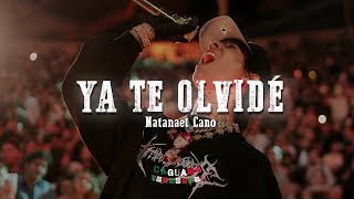 Natanael Cano  Ya Te Olvide LetraLyrics [upl. by Terris]