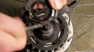 Shimano Nexus Alfine 78 Gear cassette Installing and adjusting [upl. by Engeddi326]