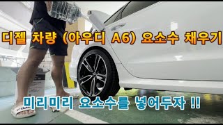 기본 정비 시리즈 디젤 차량 요소수 넣기 DIY [upl. by Gowrie]