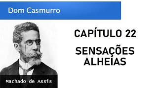 Dom Casmurro  Capítulo 22 Sensações Alheias [upl. by Pero]