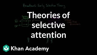 Theories of selective attention  Processing the Environment  MCAT  Khan Academy [upl. by Occer]