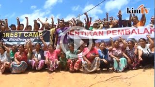 Pembalakan perkosa hutan kami ini masa untuk bangun melawanquot  Orang Asli [upl. by Marillin]