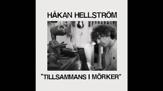 Håkan Hellström  Tillsammans i mörker Official Audio [upl. by Lupe730]