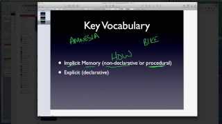 AP Psychology  Memory  Part 3  LongTerm Potentiation LTP [upl. by Ahsieyk]