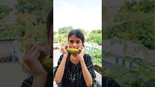 Bhutta🌽🤪 comedy funny comedyvideos ytshorts shorts [upl. by Sueahccaz]