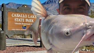 This Desert Lake Has Big Catfish [upl. by Halilak]