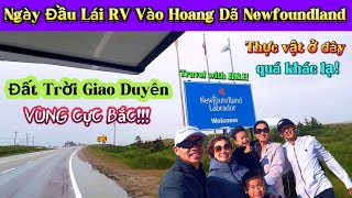 37 Hồi Hộp Ngày Đầu Lái Nhà Di Động Vào Hoang Dã Newfoundland [upl. by Bettina]