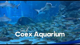 KOREA Travel Vlog🇰🇷  visiting COEX Aquarium [upl. by Ainesey]