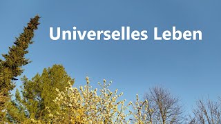 CSG 007 Universelles Leben [upl. by Azral475]