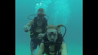 Scuba Diving in Barbados [upl. by Bates]