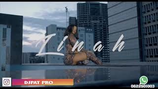 Linah ft Dogo Janja  Kilegeze Kiuno  DjPat Tz  Official Video [upl. by Liggett]