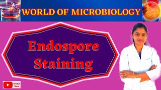 Endospore Staining  Schaeffer Felton Technique Tamil  Differential Method  Topic 10 [upl. by Saiff752]