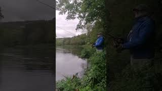 Salmon fishing Ireland with Paul Hanley [upl. by Brie]