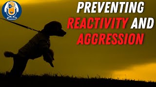 Understanding and Preventing Reactivity and Aggression in Your Dog 29 [upl. by Kciredor]