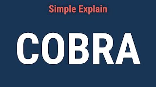 What Is the Consolidated Omnibus Budget Reconciliation Act COBRA [upl. by Yrro86]