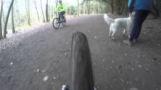 Downhill Mountain Biking Wendover Woods [upl. by Melloney353]